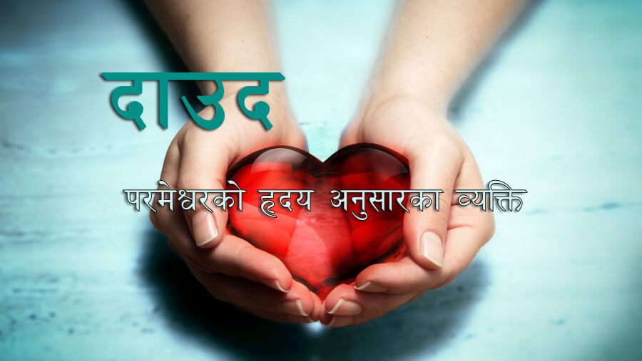M13_HF28_David - A Heart after God's Heart_NE