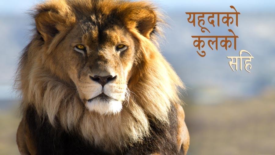 X83_NM30_The Lion of the Tribe of Judah_NE